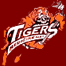 MEDICINE HAT 
TIGERS